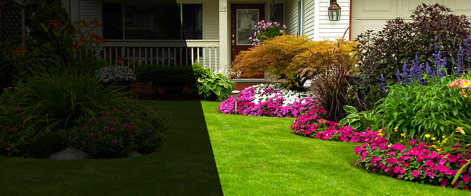 Beverly Hills Landscapers